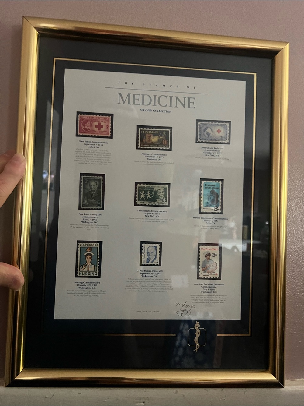 Framed 'Medicine' Stamp Collection - Gold Frame, Black Mat